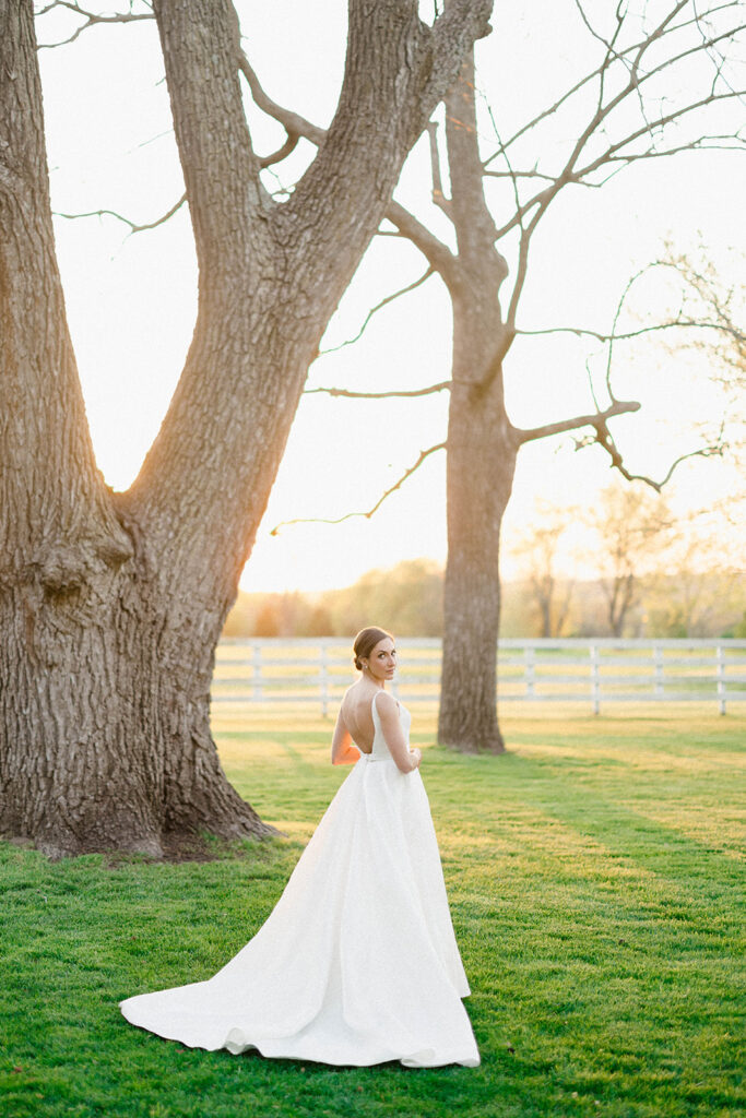 Enchanting Walnut Grove Wedding in Fayetteville, Arkansas