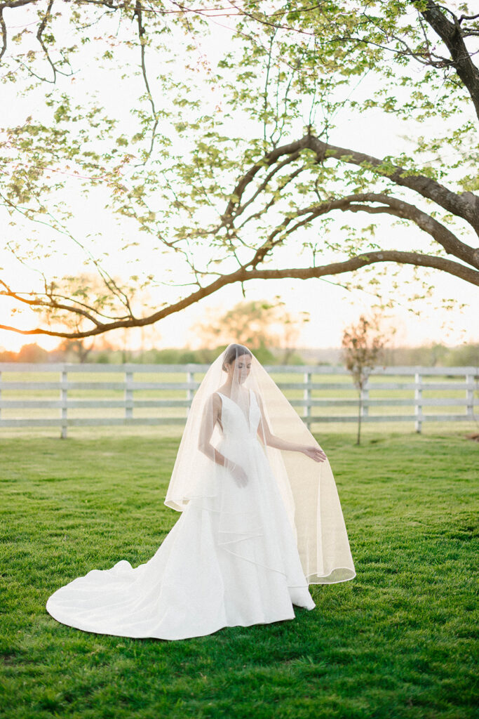 Enchanting Walnut Grove Wedding in Fayetteville, Arkansas