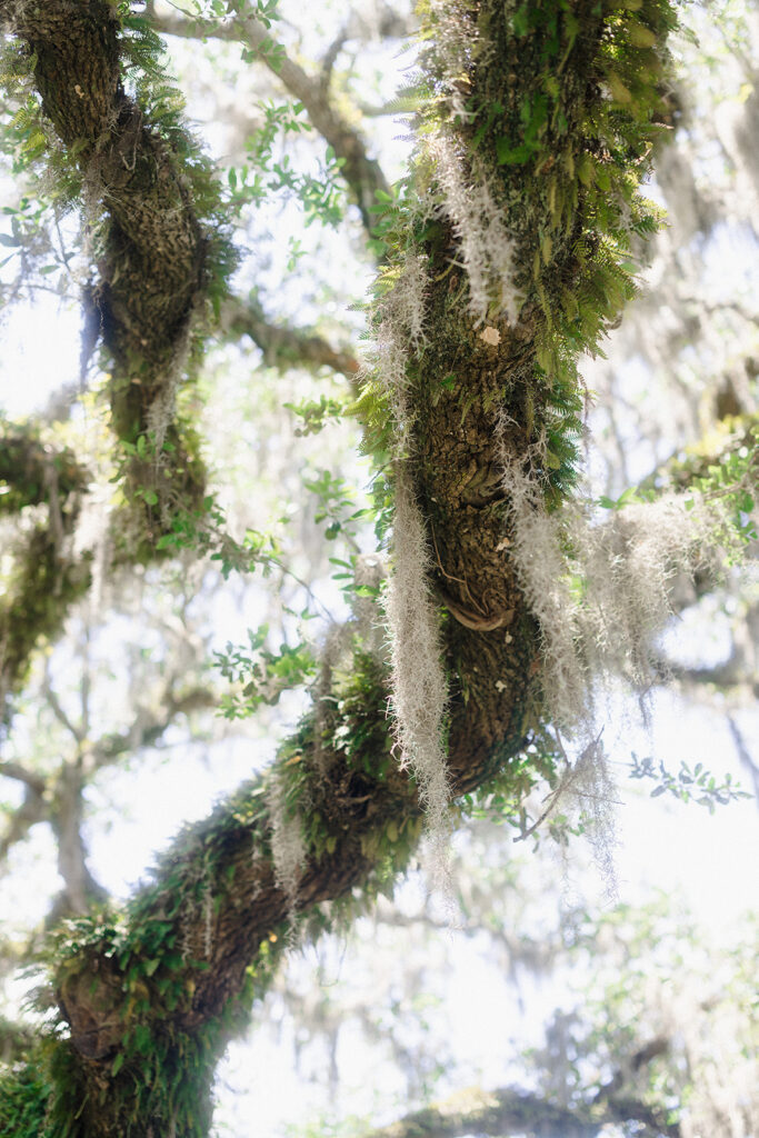 A Low Country Wedding Weekend at Montage Palmetto Bluff