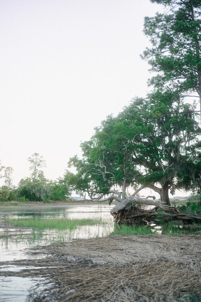 A Low Country Wedding Weekend at Montage Palmetto Bluff