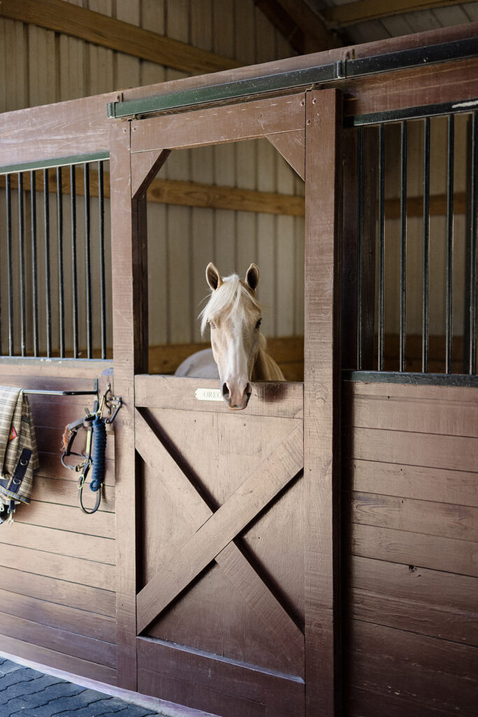 Morgan and Layne's estate wedding in Little Rock, Arkansas