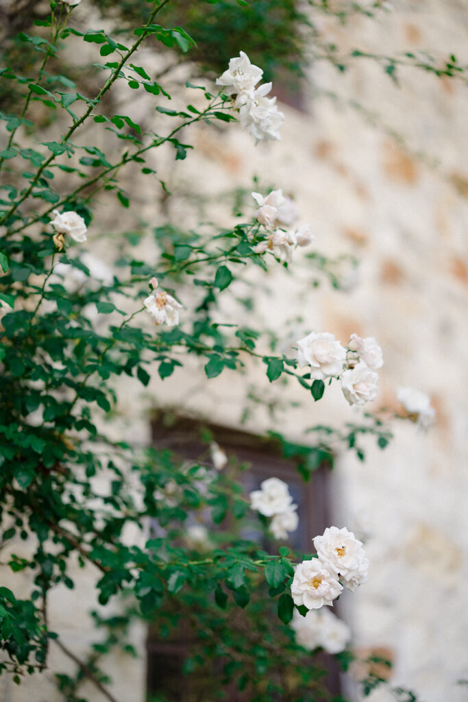 Morgan and Layne's estate wedding in Little Rock, Arkansas