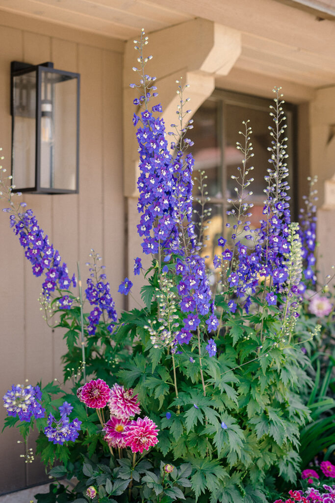 Maddie and Barrett's wedding weekend in Vail, Colorado