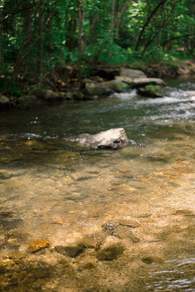 Blackberry Farm wedding ceremony in Tennessee