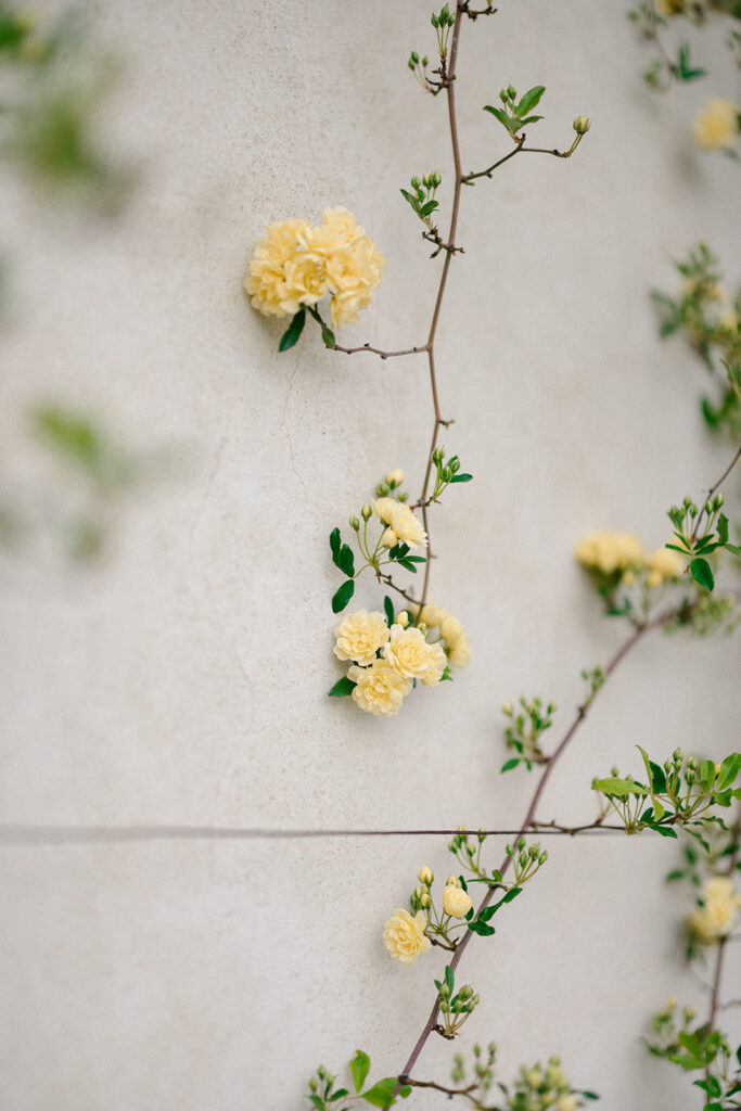 Campbell and Stuart during their engagement session in Florence, Italy, walking through historic cobblestone streets surrounded by classic Renaissance architecture at golden hour before their Tuscany wedding celebration.