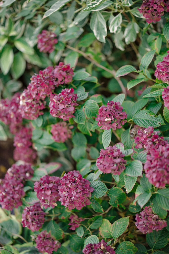Catherine and Taylor’s fall wedding ceremony at the Inn at Perry Cabin in St. Michaels Maryland overlooking the Chesapeake Bay
