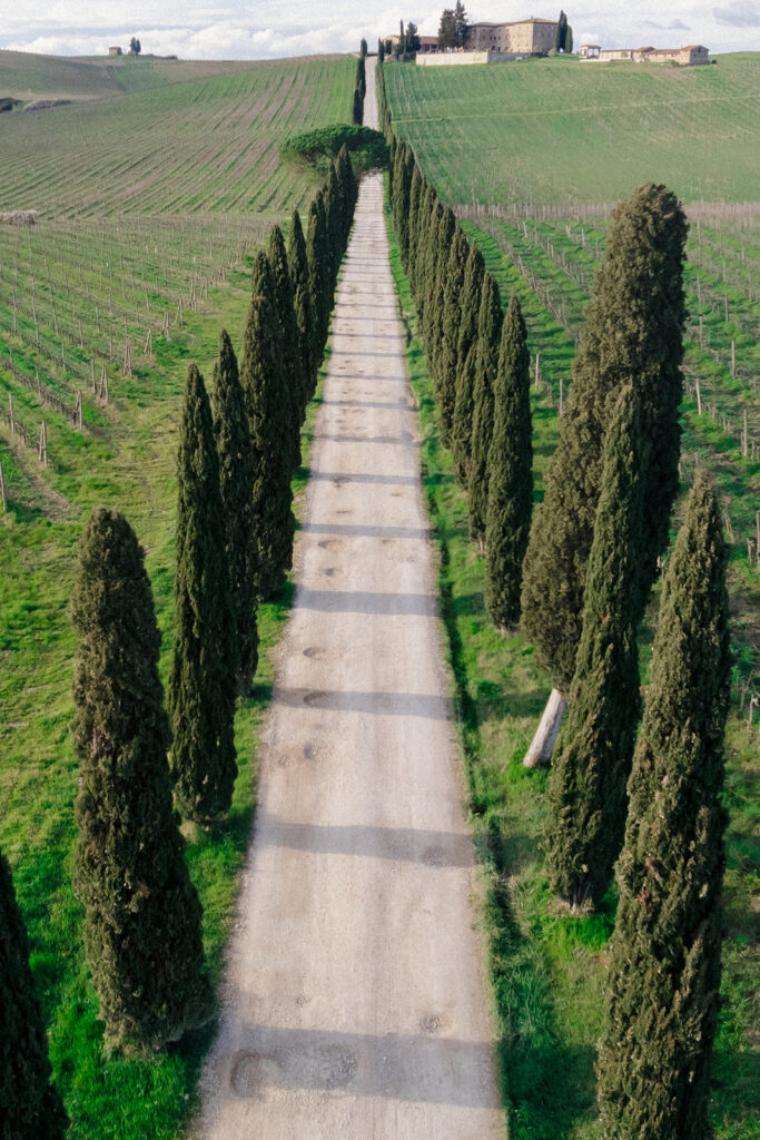 Campbell walking down the aisle during her wedding ceremony at Villa Ardore in Chianti, Tuscany, surrounded by vineyards and close family members in an intimate outdoor Italian wedding setting.